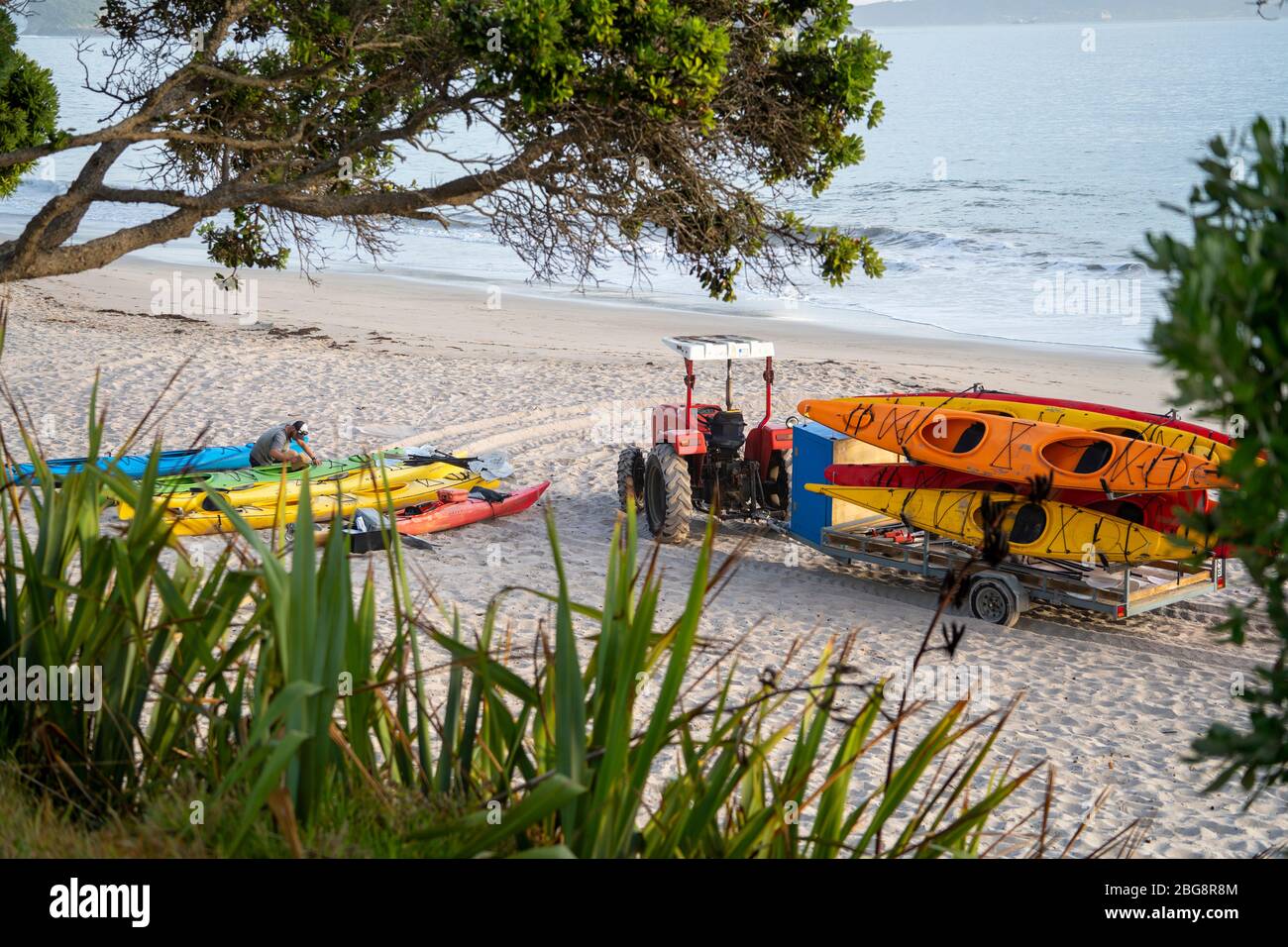 Kayak sulla spiaggia di Hahei, Penisola di Coromandel, Isola del Nord, Nuova Zelanda Foto Stock