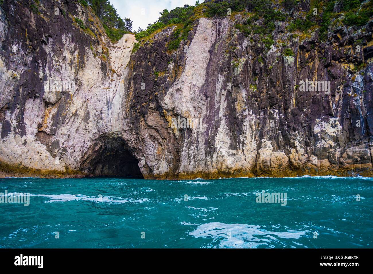 Grotta del mare in scogliere frastagliate vicino a Cathedral Cove, Hahei, Penisola di Coromandel, Isola del Nord, Nuova Zelanda Foto Stock