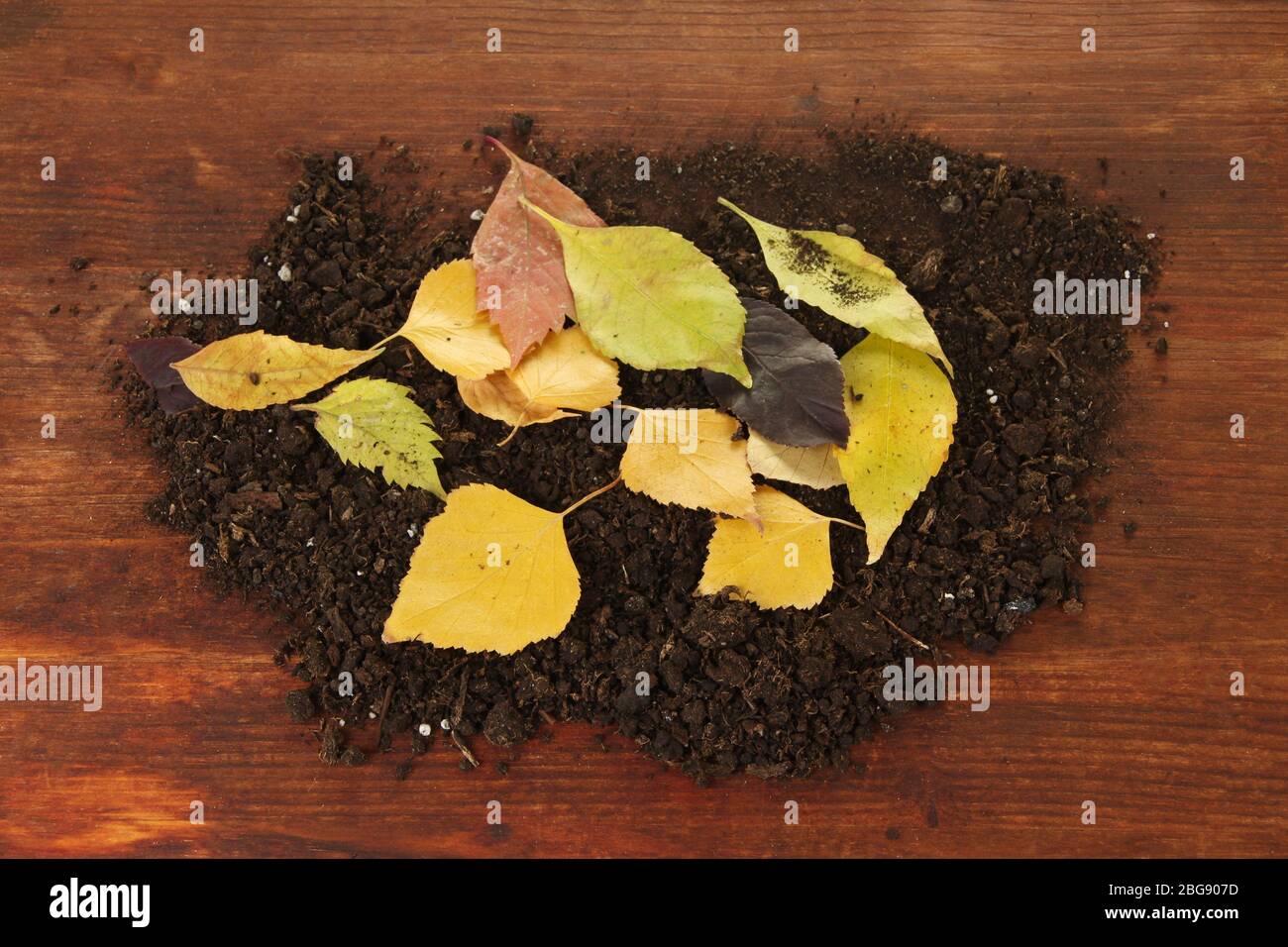 Bella autunno foglie su fondo di legno Foto Stock