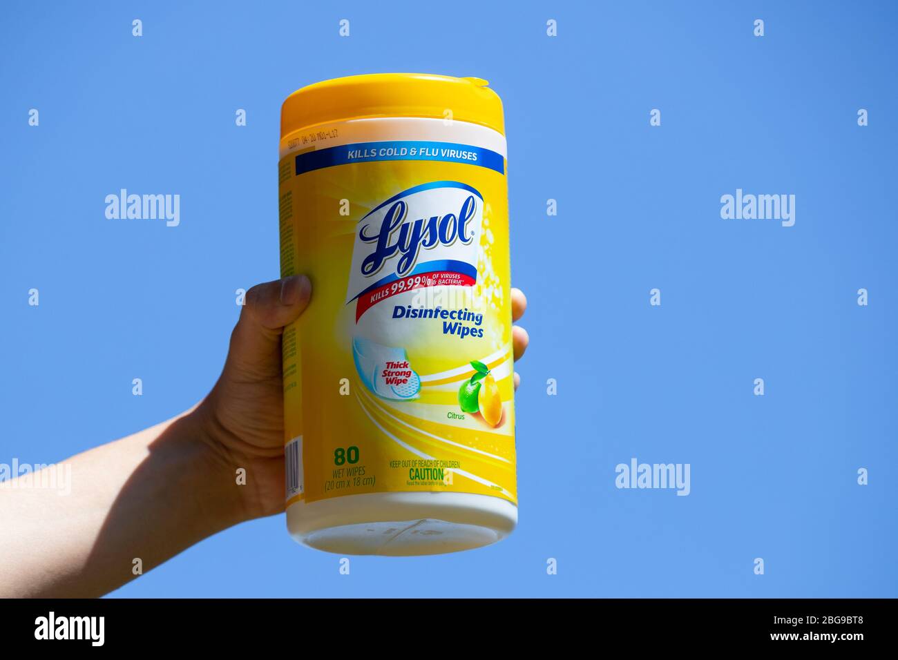 Tenere una mano in un contenitore giallo di salviette disinfettanti Lysol  per fragranze di agrumi. Le salviette di Lysol sono scarse poiché la  pandemia di coronavirus Foto stock - Alamy