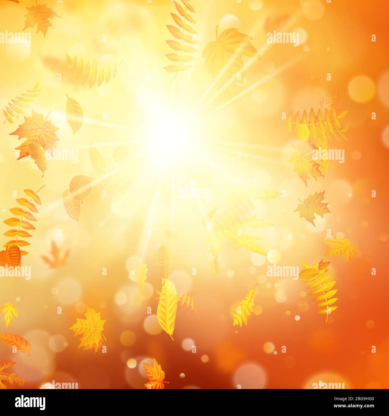Sfondo autunnale con foglie naturali e luce solare brillante. EPS 10 Illustrazione Vettoriale