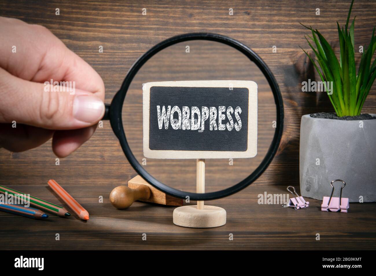 Piccola tavola di gesso con l'iscrizione Wordpress. Mano dell'uomo, con lente di ingrandimento. Foto Stock