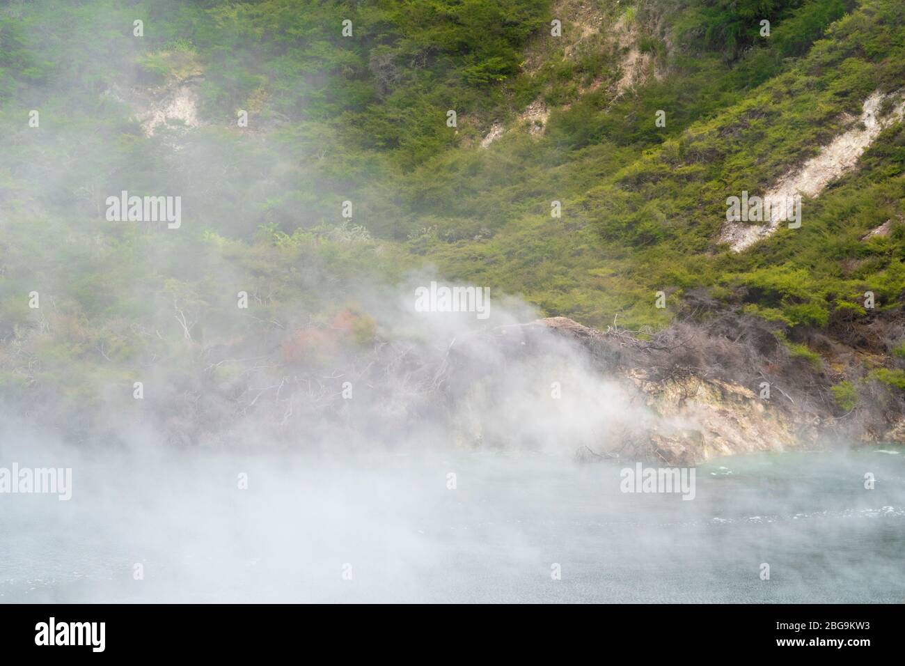 Padella Lago, Valle Vulcanica di Waimangu, Rotorua, Isola del nord, Nuova Zelanda Foto Stock