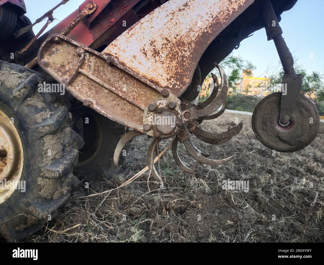 Lame taglierina Mini Tractor Cullator su un giardino arato. Tagliabasini ravvicinati Foto Stock