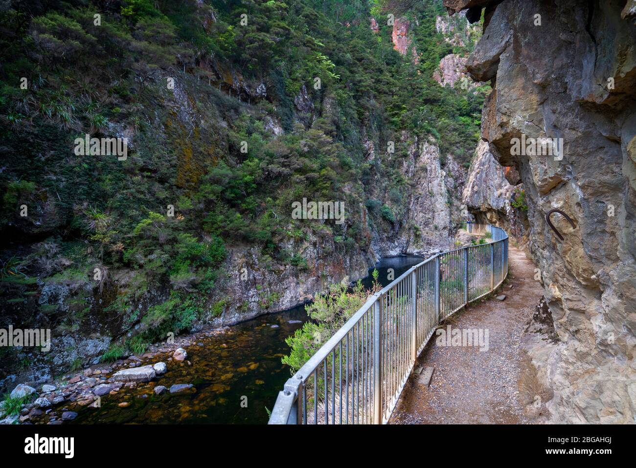 Vista della gola di Karangahake dalla passeggiata dei finestrini di Karangahake, Waikino, Isola del Nord Nuova Zelanda Foto Stock