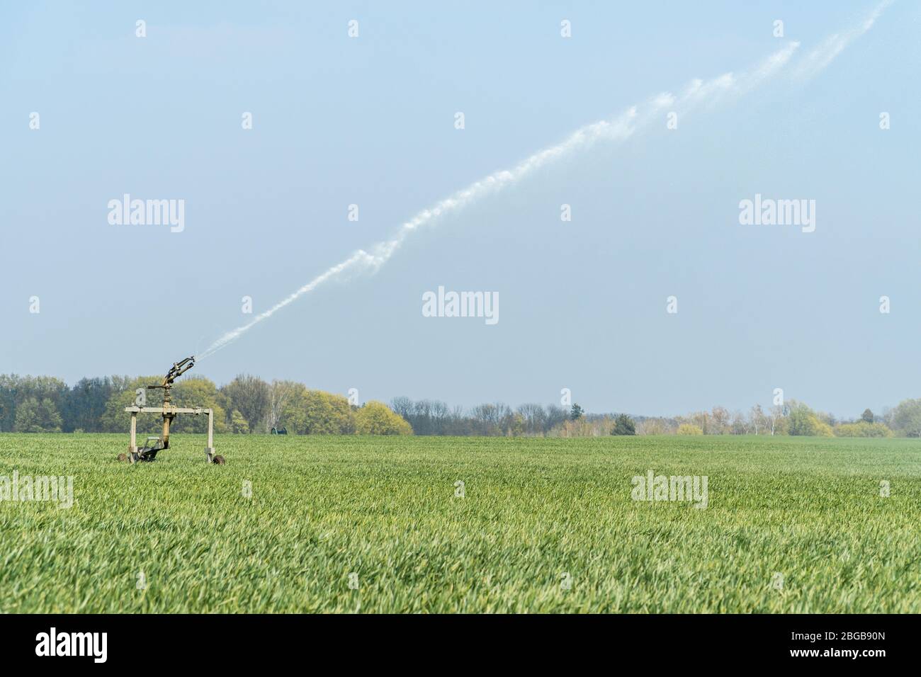 Pistola di irrigazione automatica a sprinkler pieghevole per irrigare il campo agricolo nella stagione primaverile. Impianto di irrigazione sprinkler in agricoltura Foto Stock