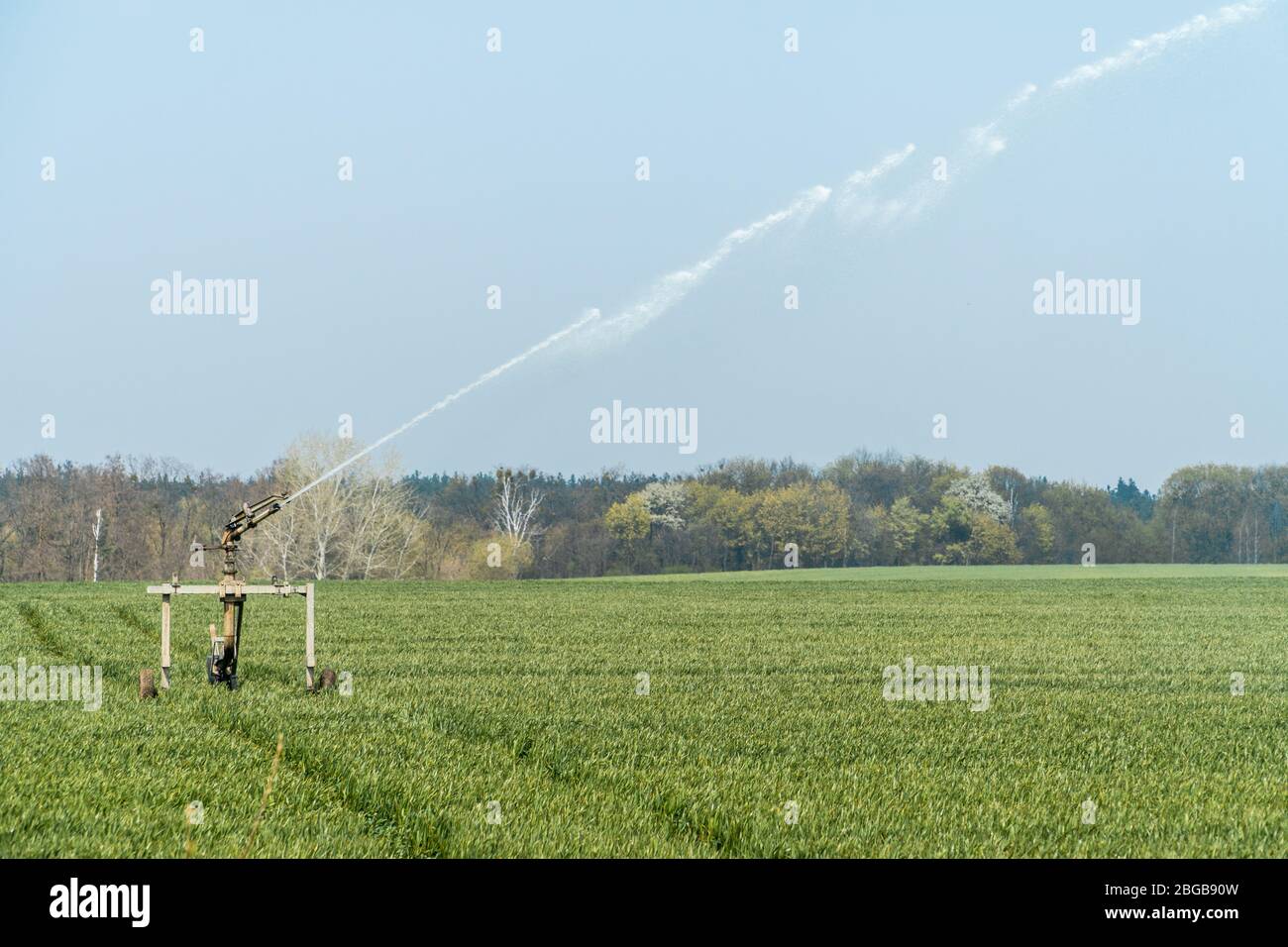 Pistola di irrigazione automatica a sprinkler pieghevole per irrigare il campo agricolo nella stagione primaverile. Impianto di irrigazione sprinkler in agricoltura Foto Stock