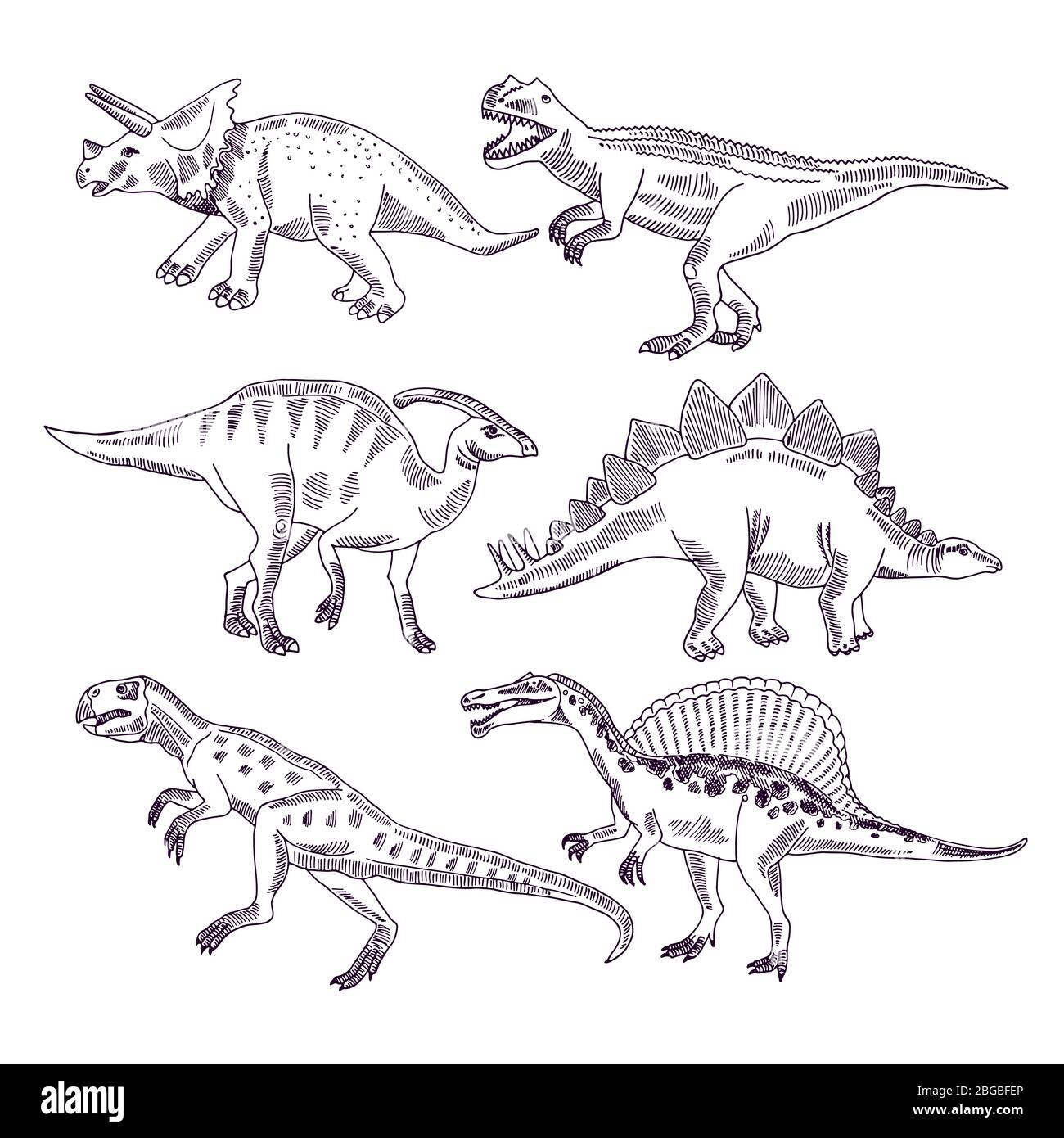Vita selvaggia con dinosauri. Set di illustrazioni disegnate a mano di t rex e altri tipi di dinosauri Illustrazione Vettoriale