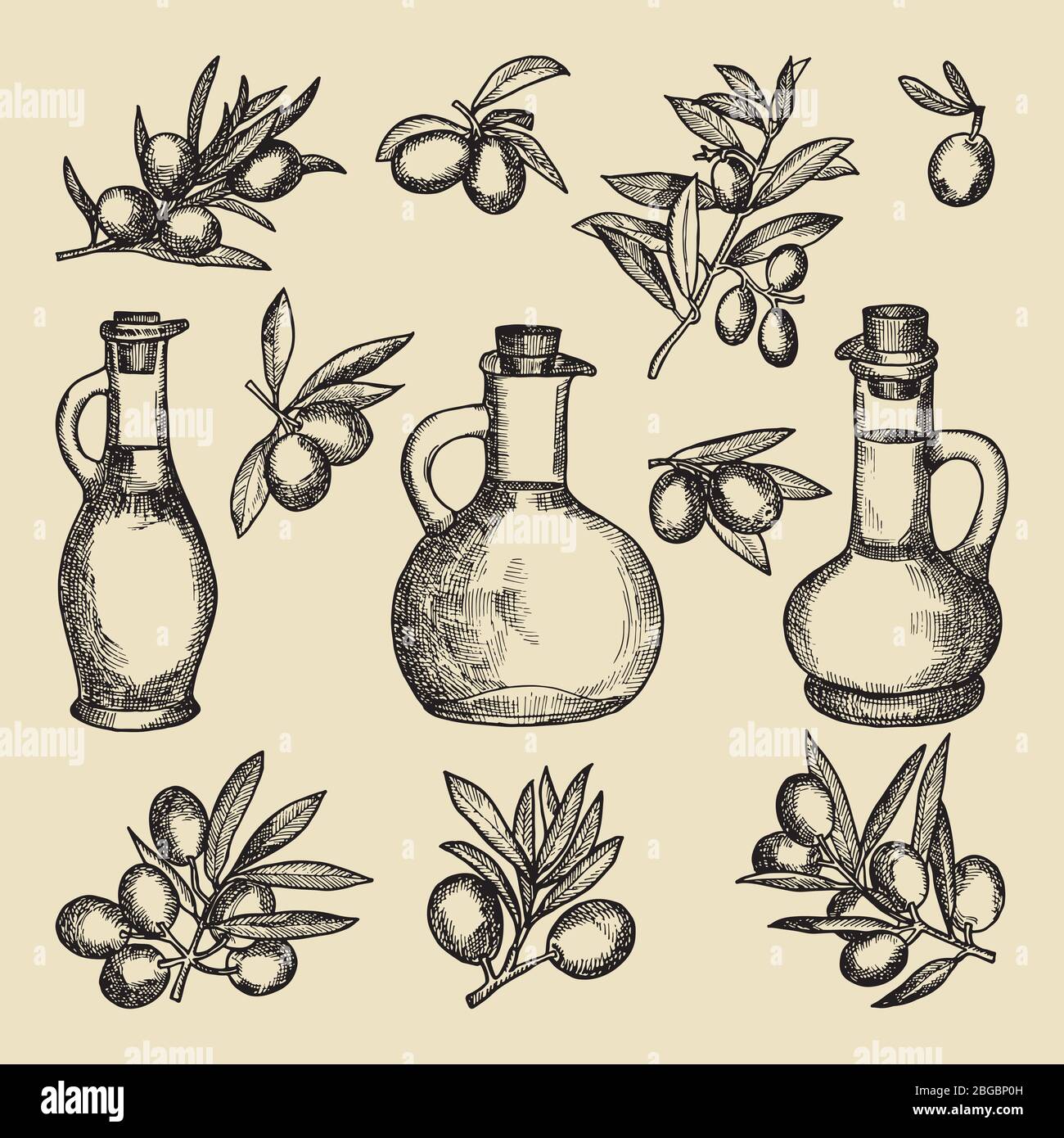 Ramo di olive, albero e olio e bottiglia. Quadri d'epoca disegnati a mano di diversi prodotti d'oliva Illustrazione Vettoriale