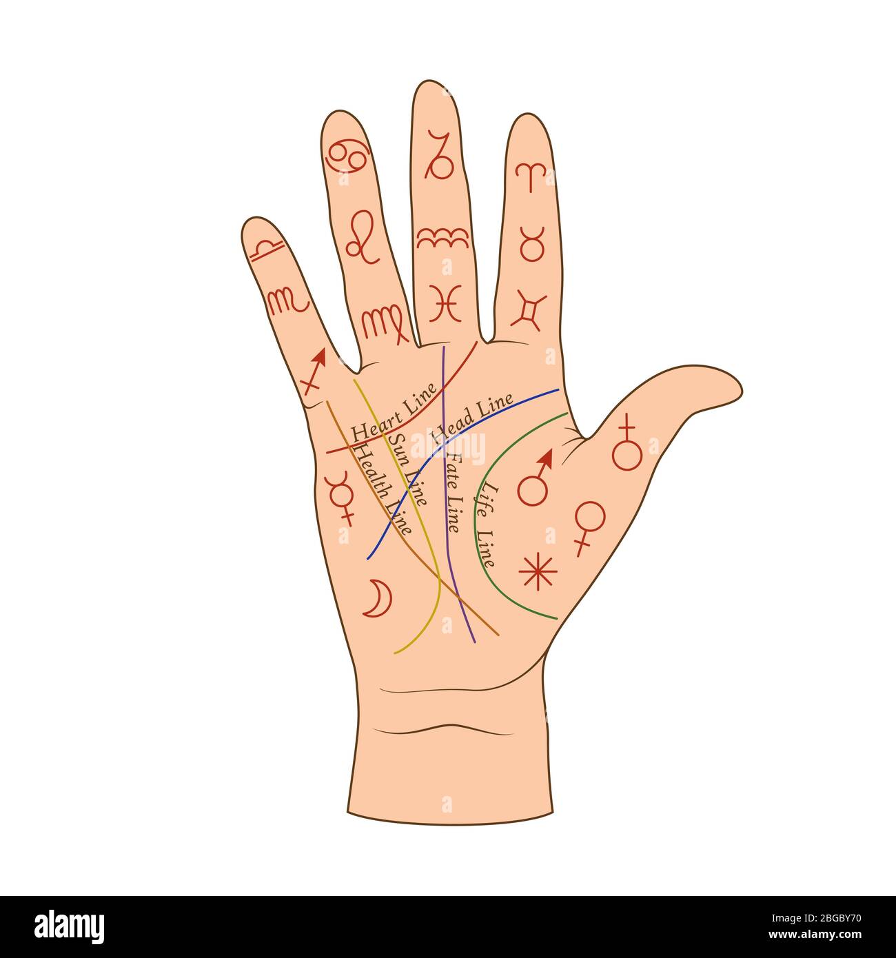 Cartoon carta di palmistry umana su disegno grafico vettoriale a mano aperta Illustrazione Vettoriale