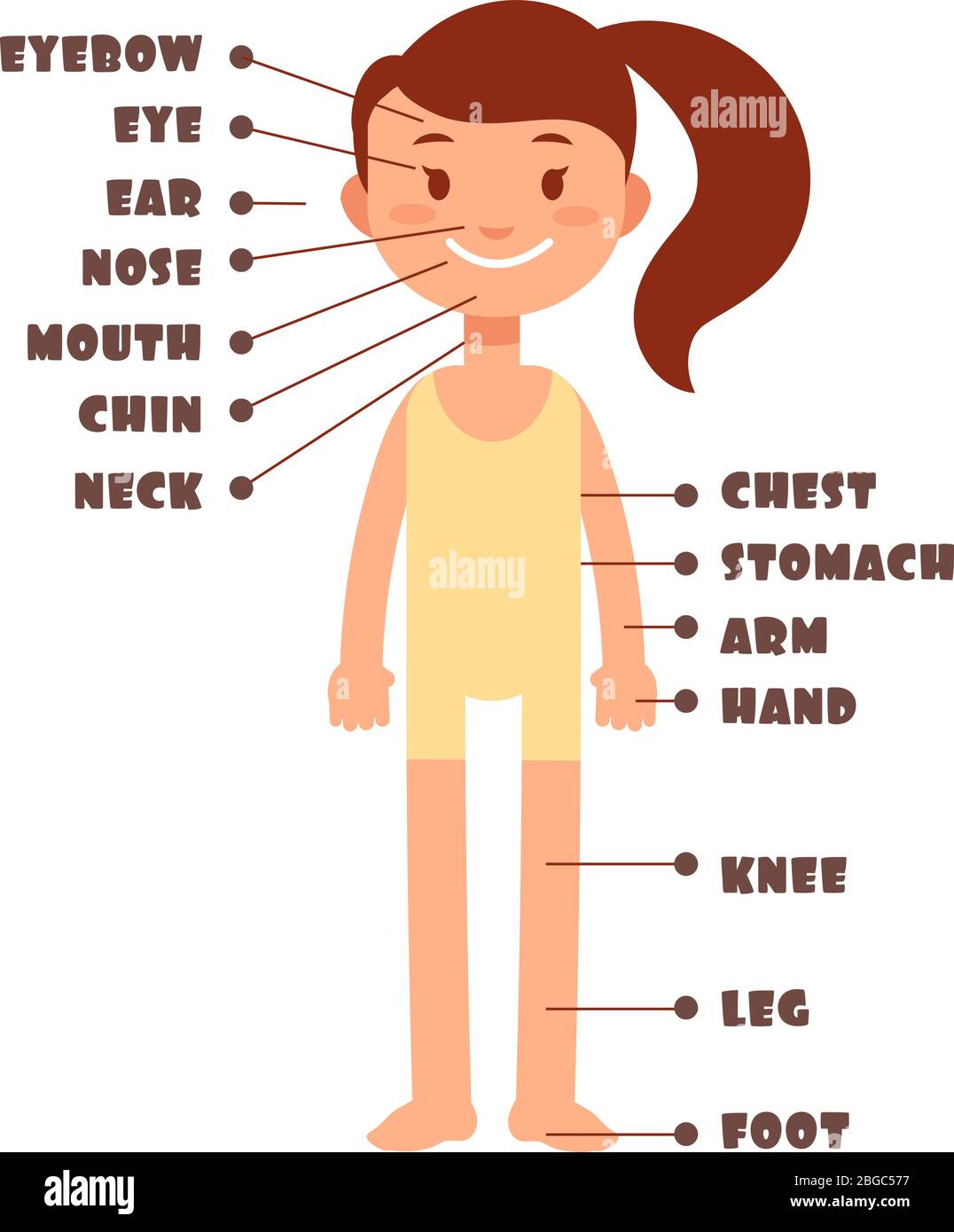 Cartoon bambina. Vocabolario di parti del corpo umano insieme vettoriale. Illustrazione del vocabolario femminile del nome del corpo del capretto Illustrazione Vettoriale