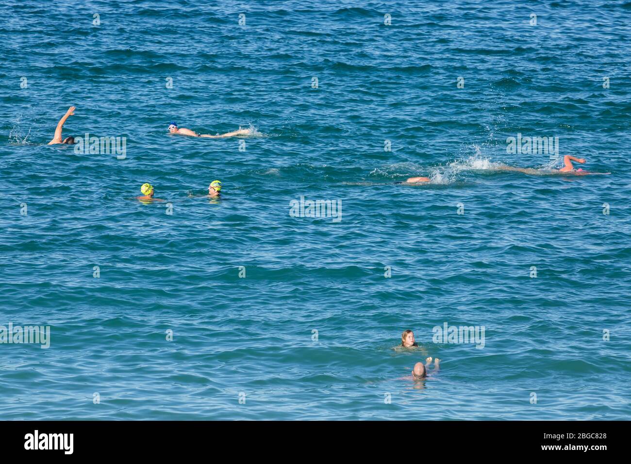 Sydney, Australia. Martedì 21 aprile 2020. Coogee Beach, nei sobborghi orientali di Sydney, riaprì dopo le restrizioni di blocco. La gente del posto è autorizzata a nuotare, a fare surf e a fare esercizio fisico, ma non deve prendere il sole, sedersi sulla sabbia o riunirsi in gruppi a causa della pandemia COVID-19. Credit Paul Lovelace/Alamy Live News. Foto Stock