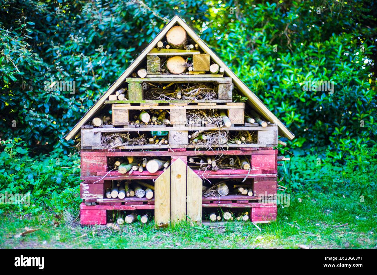 insetto hotel decorativo casa in legno con compartimenti per insetti Foto Stock