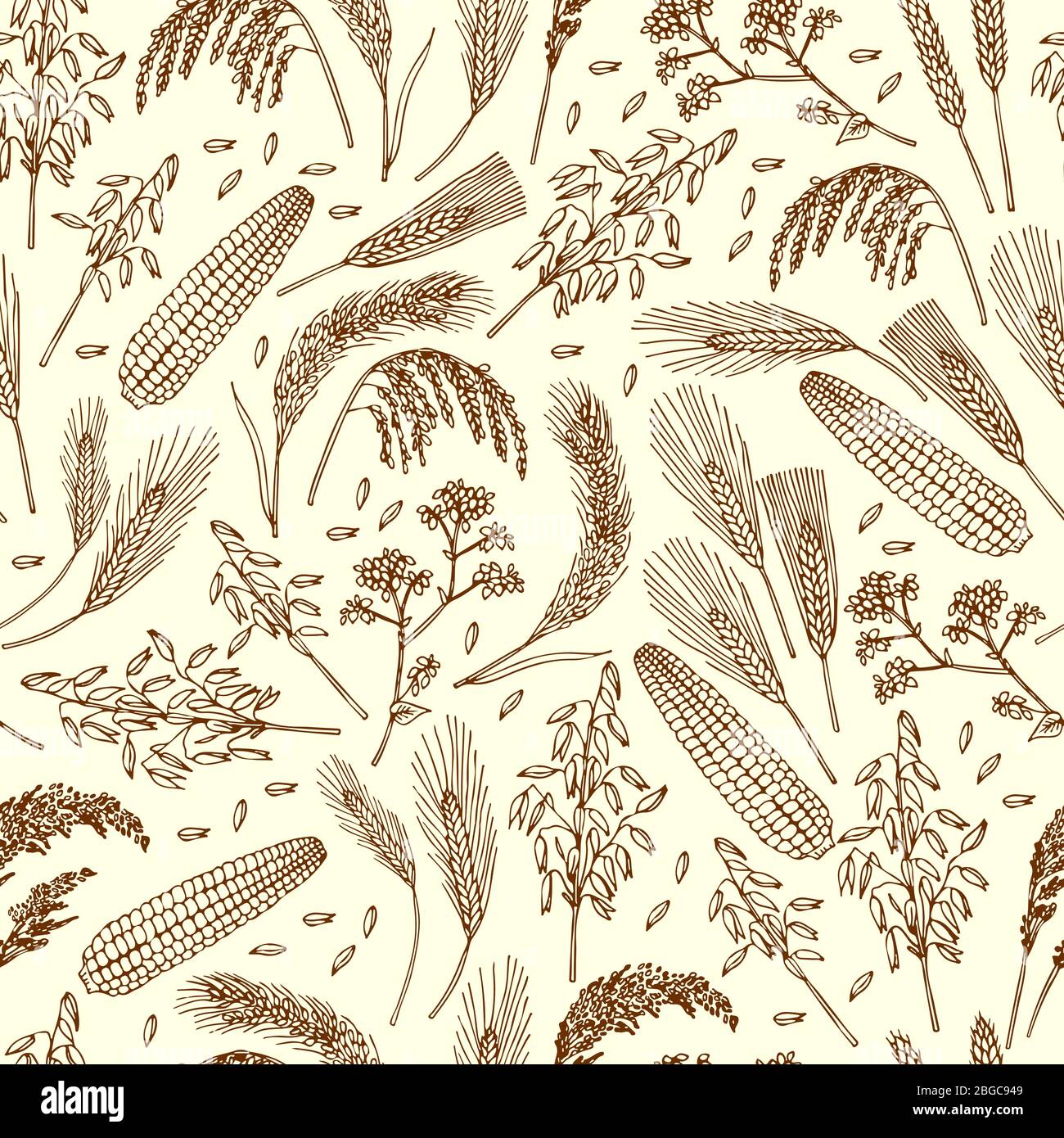 Modello senza cuciture di alimenti biologici. Cereali, riso, cereali Illustrazione Vettoriale