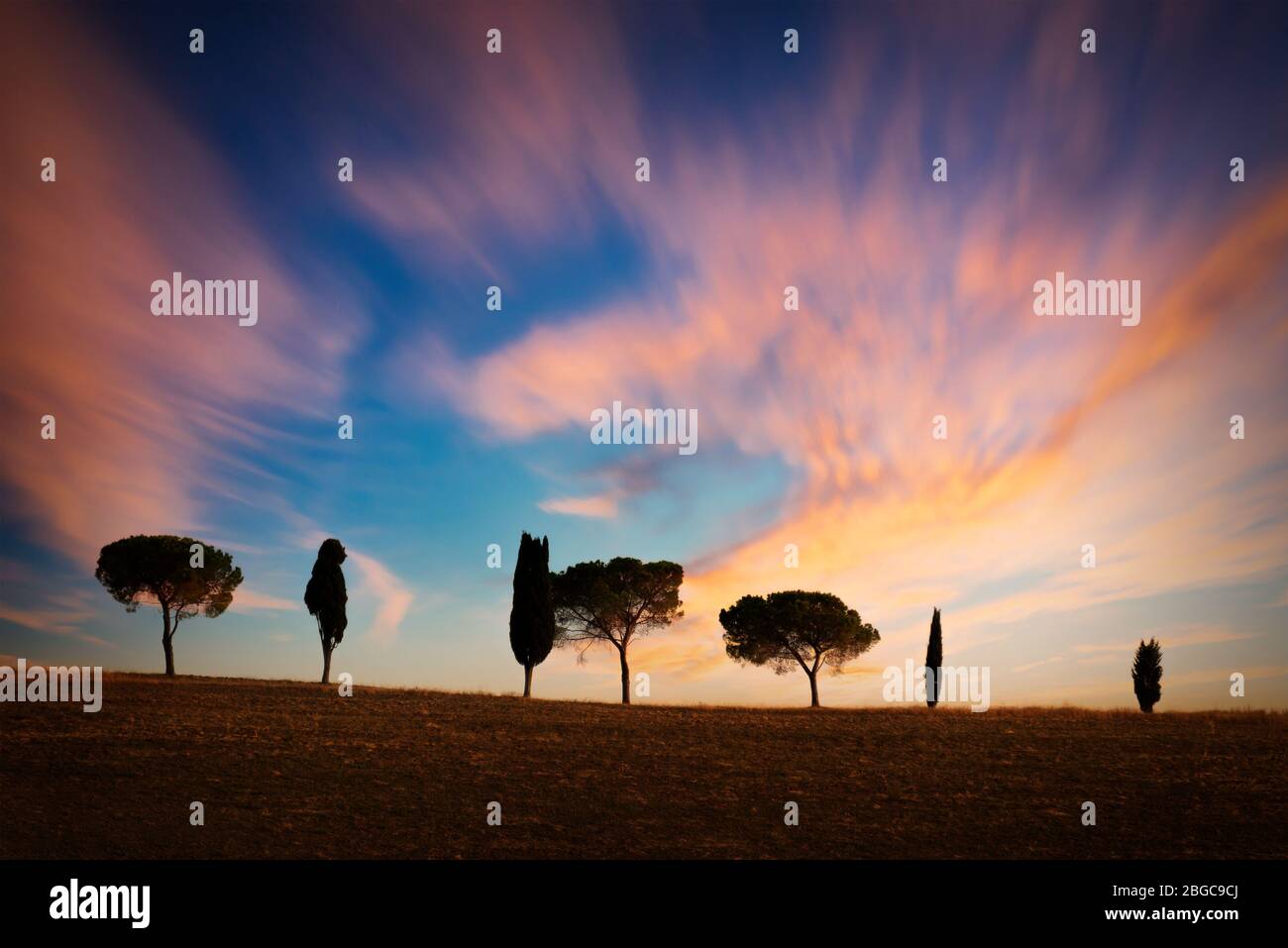 Fila di cipressi al tramonto, cielo spettacolare, tipico paesaggio toscano con spazio per le copie Foto Stock