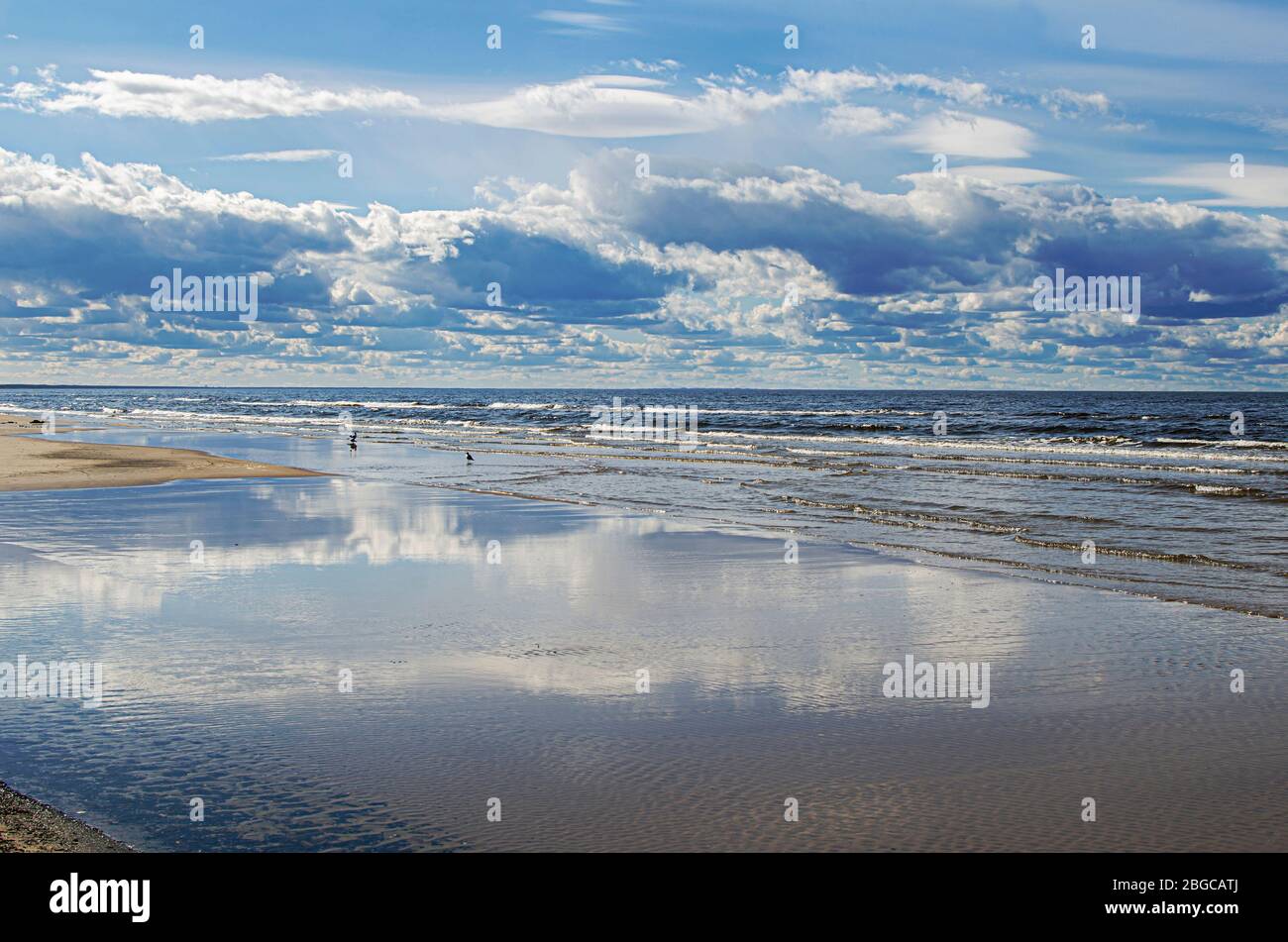 Bellissimo paesaggio marino. Mar Baltico durante la giornata di sole con belle nuvole con gabbiani nelle onde a Jurmala, Lettonia Foto Stock