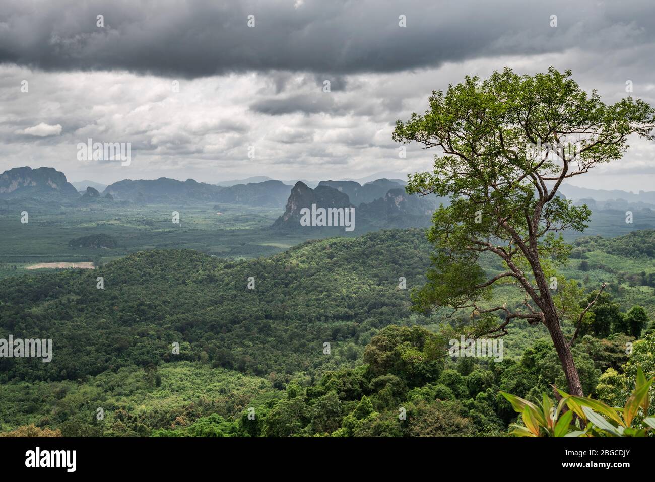 Cielo nuvoloso e vista della foresta tropicale giungla dal punto di vista su un paesaggio naturale con le montagne Foto Stock