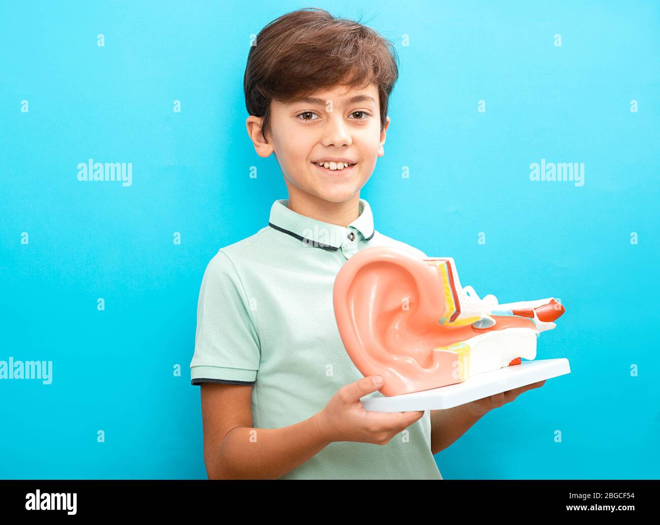 Cute misto razza bambino tenendo modello di correzione dell'udito umano ear.children Foto Stock