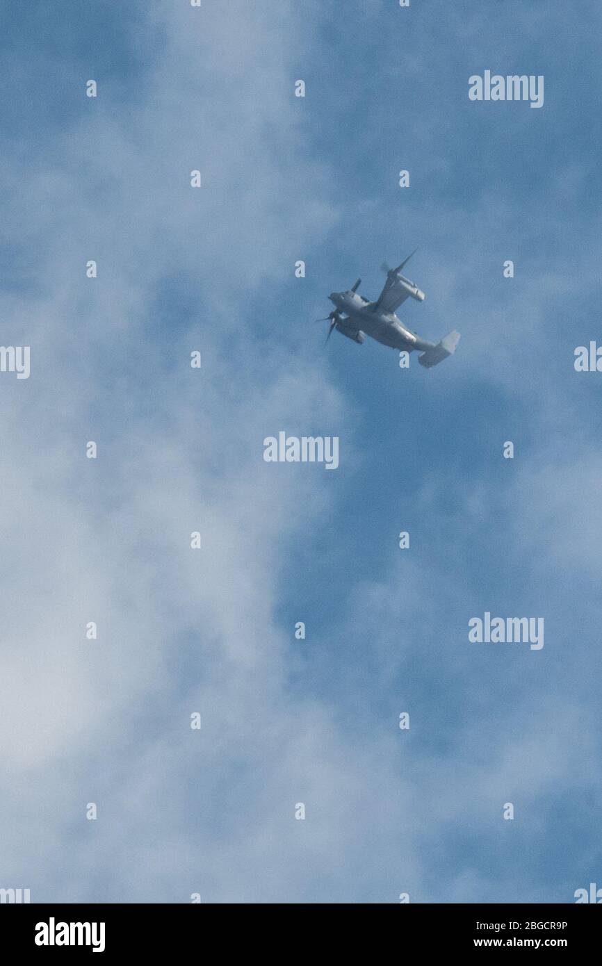 Un MV-22B Osprey assegnato alla 31a unità di spedizione marina (MEU), Marine Medium Tiltrotor Squadron (VMM) 265 partecipa alle operazioni di volo con la nave d'assalto anfibio USS America (LHA 6). America, fiore all'occhiello dell'America Expeditionary Strike Group, 31 MEU, opera nell'area operativa della settima flotta statunitense per migliorare l'interoperabilità con alleati e partner e funge da forza di risposta pronta per difendere la pace e la stabilità nella regione dell'Indo-Pacifico. Foto Stock