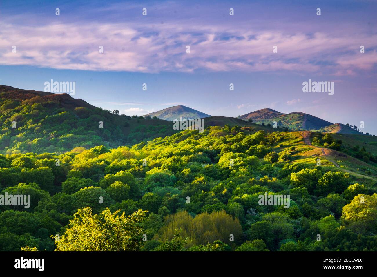 Bella serata a maggio con luce solare dorata che si trova sulle colline Malvern nel Worcestershire e Herefordshire midlands occidentali Foto Stock