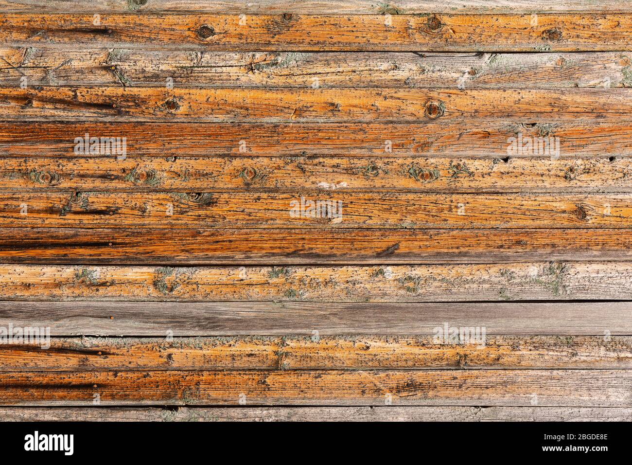 Primo piano orizzontale di vecchio muro di legno, sfondo di legno marrone, recinzione o pannelli di pavimento. Sfondo e carta da parati con texture in legno Foto Stock