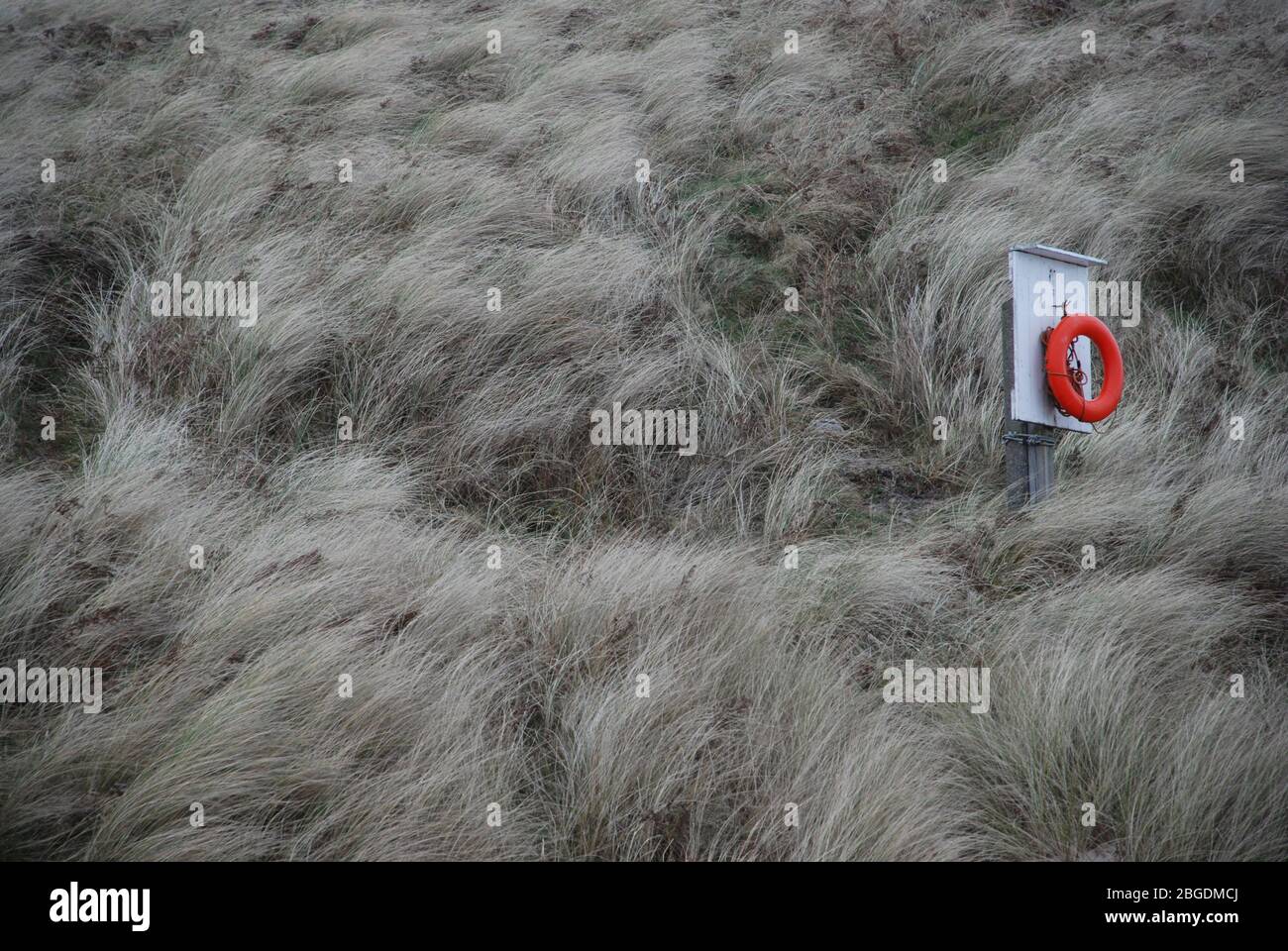 Grande lifbuoy arancione/rosso su un bordo bianco posto tra dune di sabbia sulla costa del Northumberland Foto Stock