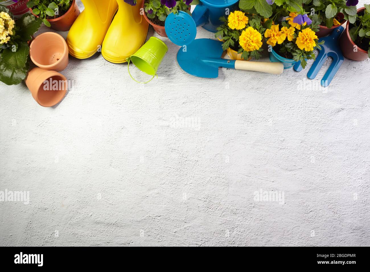 Attrezzi da giardinaggio, fiori su pavimentazione. Progetto primaverile giardino opere. Layout con spazio libero catturato dall'alto. Foto Stock