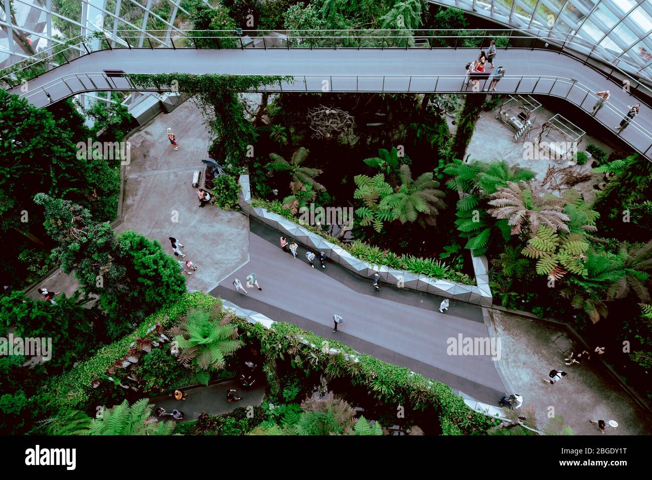 Singapore, Ottobre 2019: Cloud Forest Dome Conservatory at Gardens by the Bay in Singapore. Turisti che camminano sulle piattaforme all'interno della cupola di vetro della serra Foto Stock