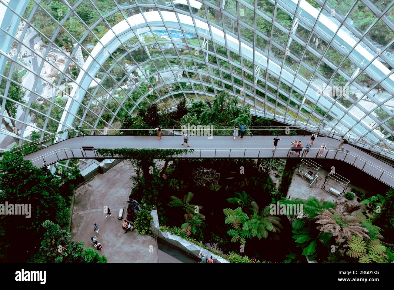 Singapore, Ottobre 2019: Cloud Forest Dome Conservatory at Gardens by the Bay in Singapore. Turisti che camminano sulle piattaforme all'interno della cupola di vetro della serra Foto Stock