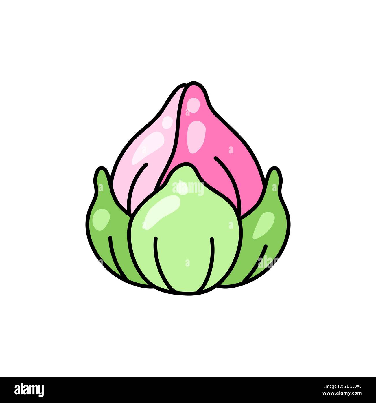 Illustrazione del fiore di loto. Immagine decorativa di giglio d'acqua. Illustrazione Vettoriale