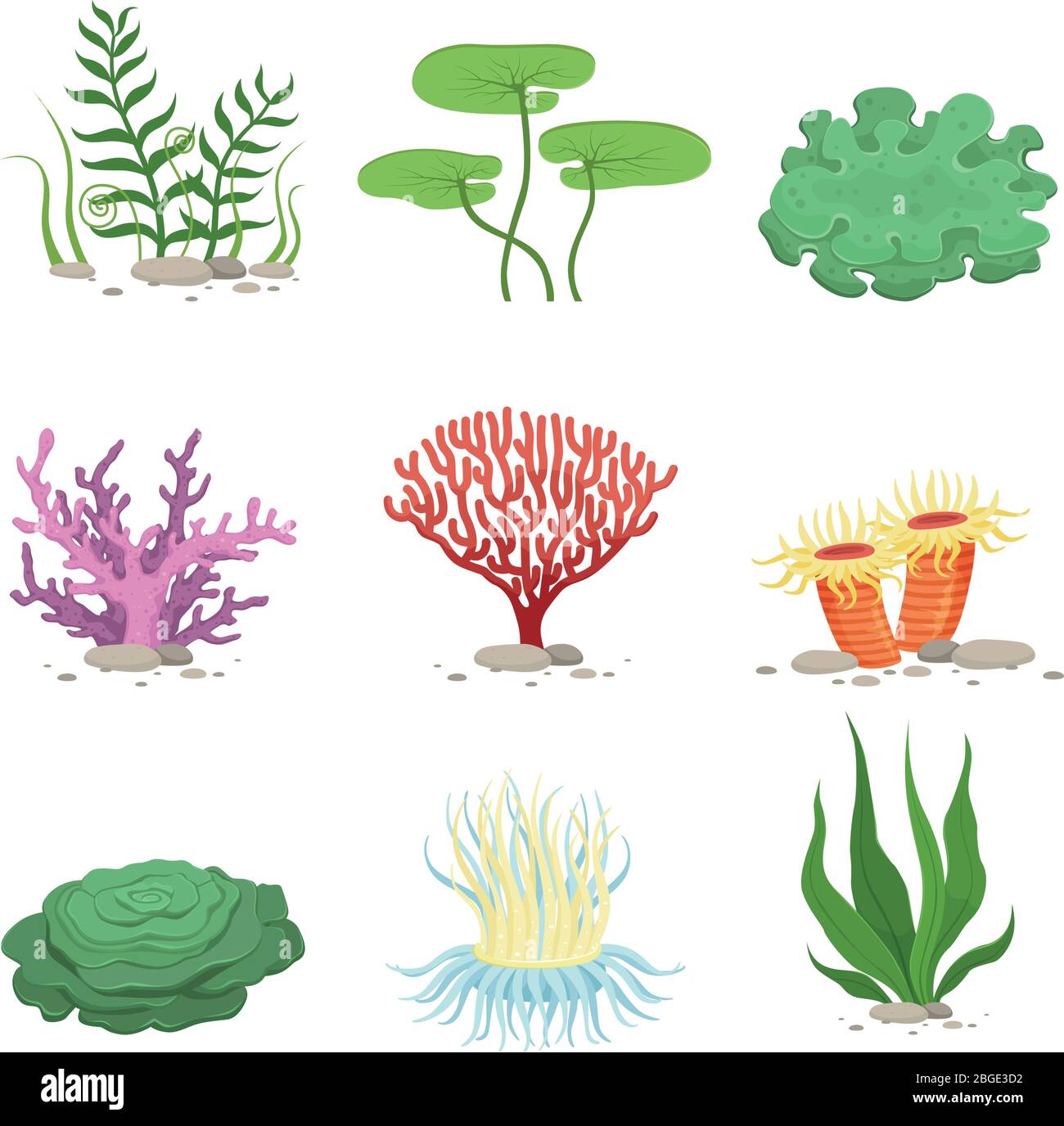 Fauna acquatica marina piante e coralli subacquei. Elemento vettoriale colorato oceano Illustrazione Vettoriale