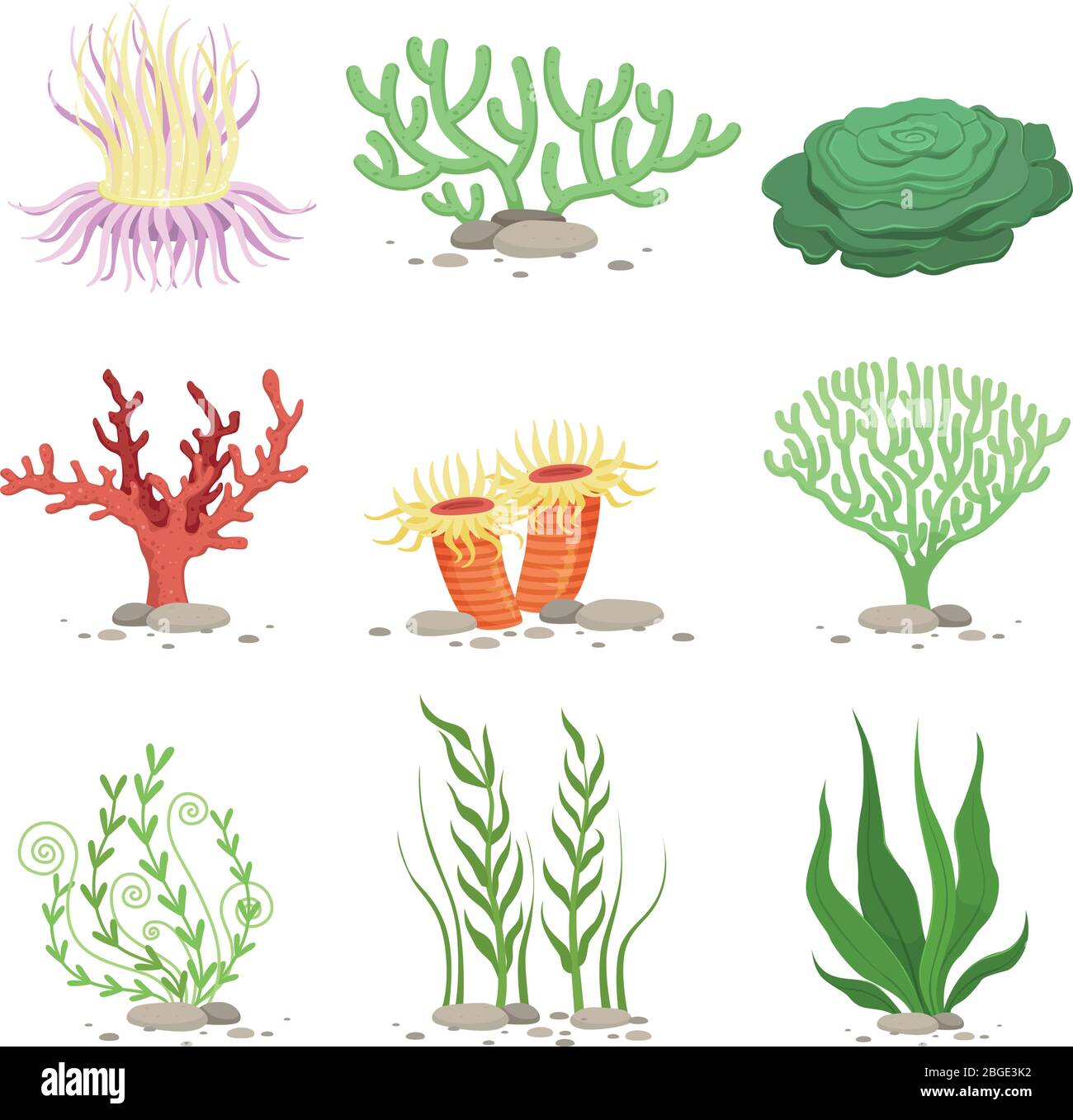 Set vettoriale di piante subacquee. Illustrazioni divertenti in stile cartone animato isolano su bianco Illustrazione Vettoriale