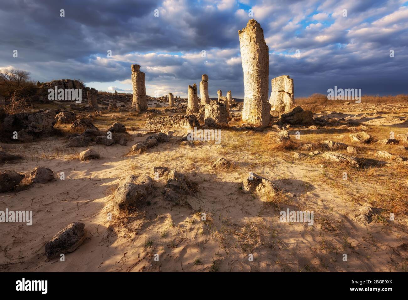 Fenomeno formazioni rocciose in Bulgaria intorno a Varna - Pobiti kamani. Luogo turistico nazionale. Pietra verticale. Montante di massa in Bulgaria Foto Stock