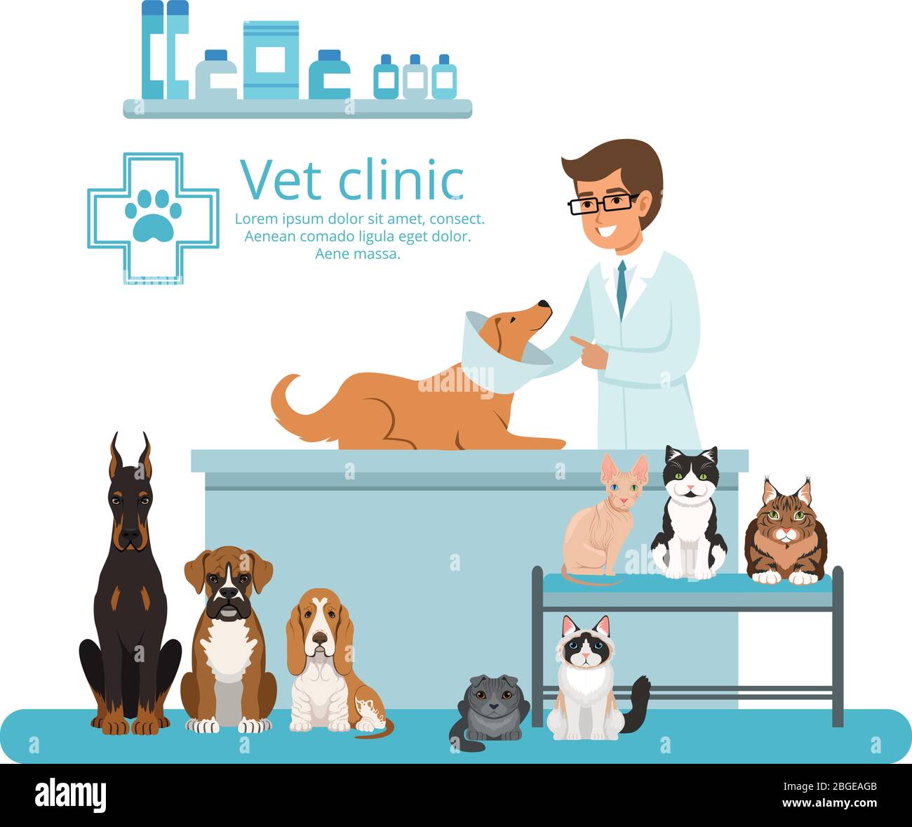 Animali in gabinetto di veterinario ospedale. Illustrazione vettoriale Illustrazione Vettoriale