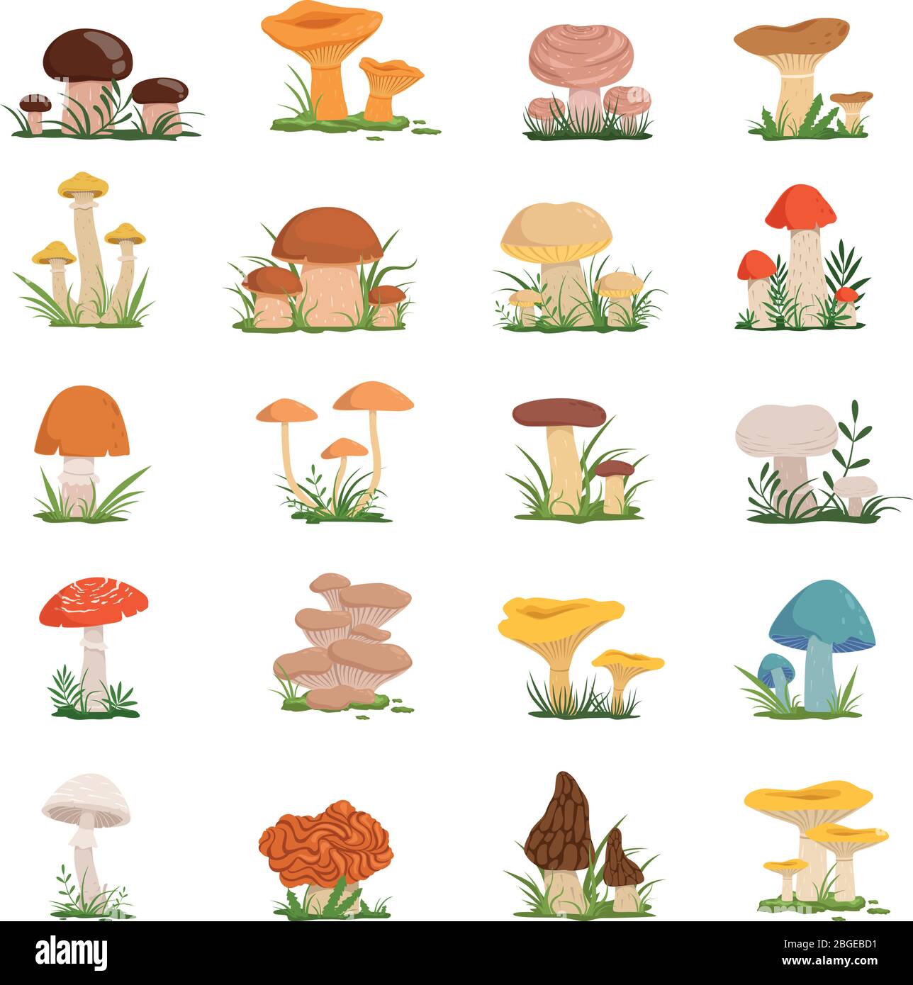 Funghi diversi su erba verde. Set di vettori Illustrazione Vettoriale