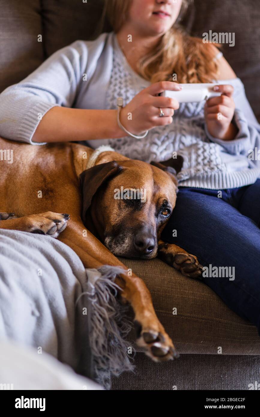 un cane si trova sul divano mentre gli adolescenti giocano a videogiochi Foto Stock
