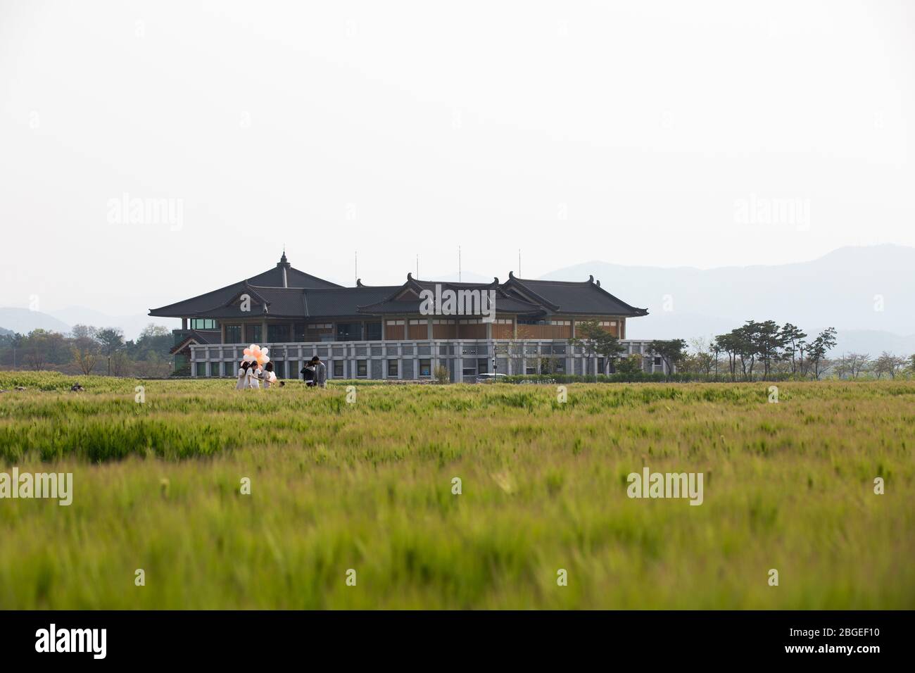 Bellissimo paesaggio primaverile del sito del tempio di Hwangryongsa (Hwangnyongsa) con campo di orzo verde a Gyeongju-si, Corea Foto Stock