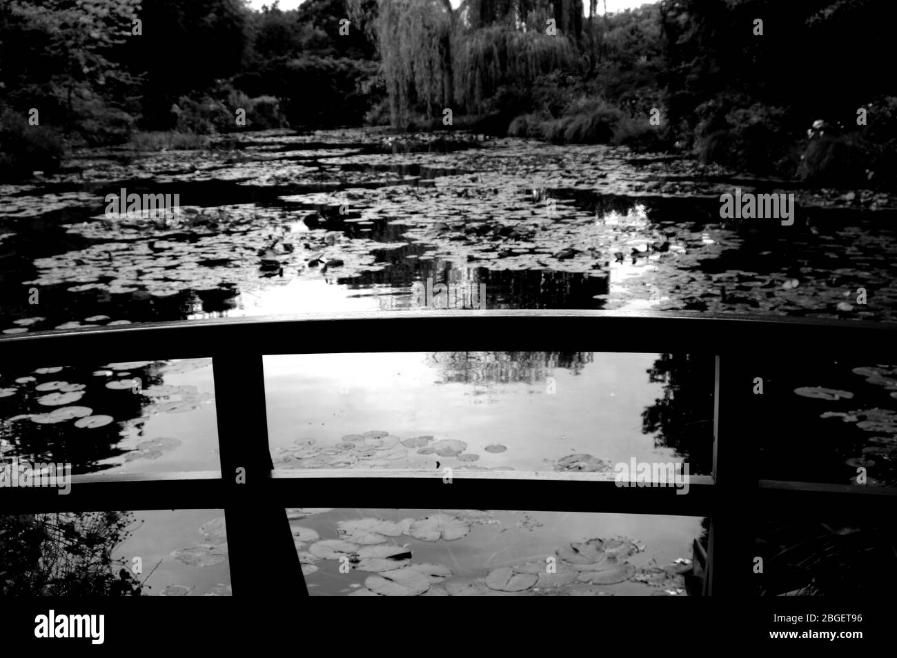 Bello progettato giardino stagno di pesce con acqua-giglio in un giardino ben curato giardino sfondo giardinaggio. Foto Stock