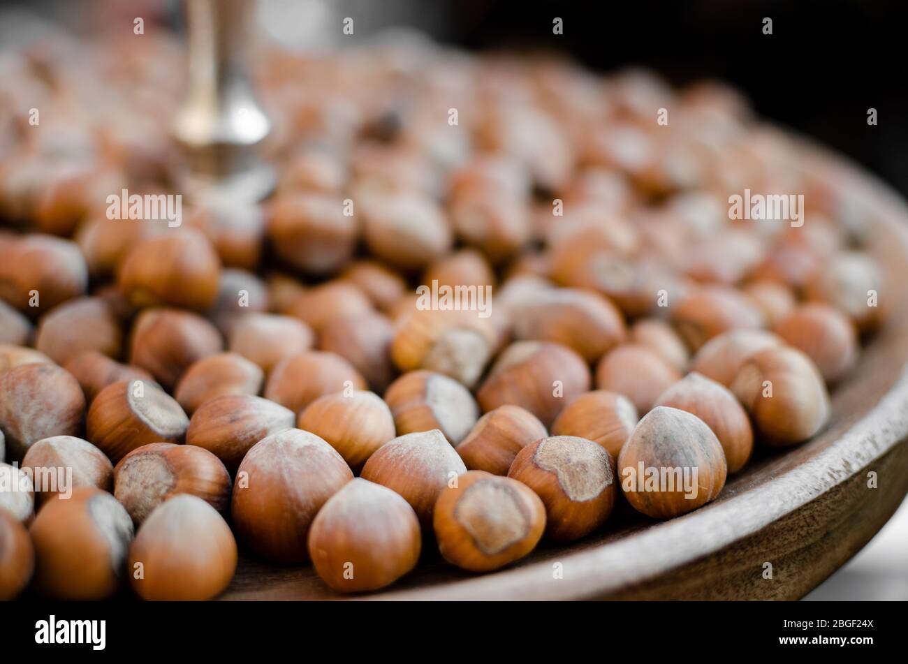 Nocciola Piemonte IGP, detta anche "onda gentile di Langa", varietà di nocciole prodotta in piemonte (italia) Foto Stock