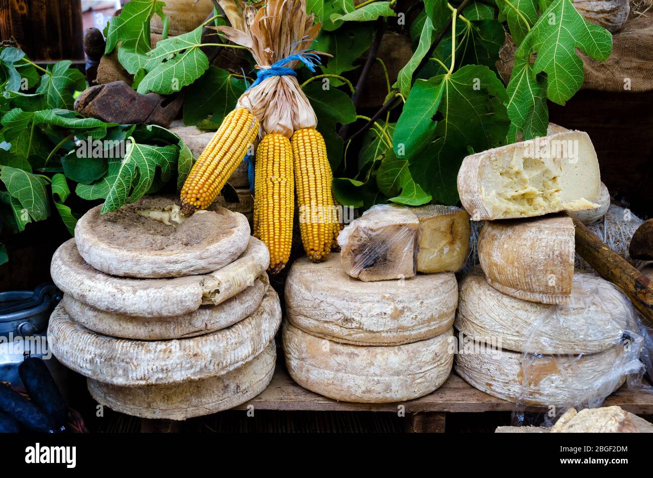 Formaggio a pasta dura in una bancarella di mercato a Torino Foto Stock