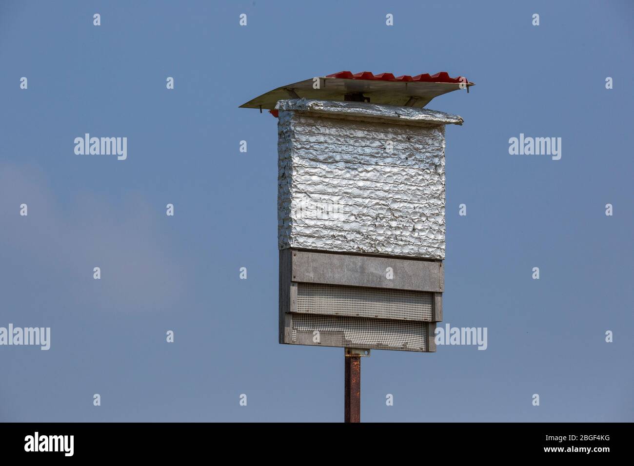 Scatole di nidificazione poste in campi per attirare pipistrelle di Kuhl (Pipistrellus kuhlii) come un naturale controllo dei parassiti per l'agricoltura biologica. Punto Foto Stock