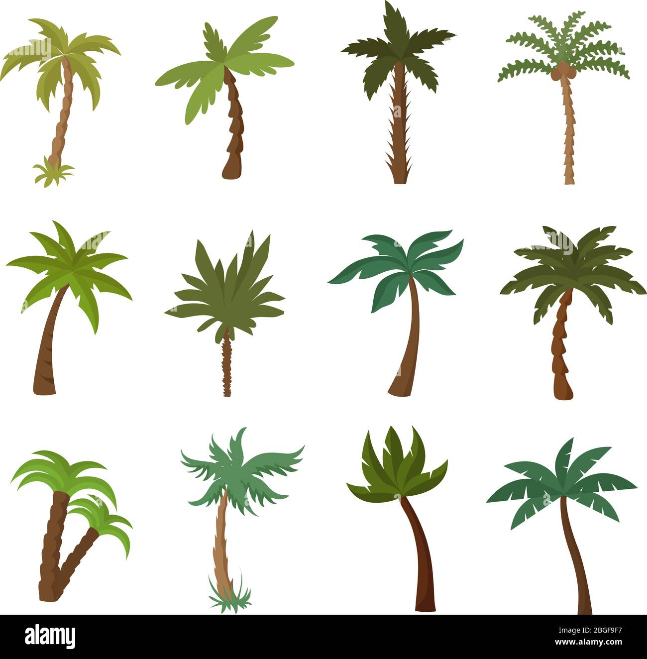 Palme della California. Set di vettori di piante tropicali d'estate. Verde palma tropicale esotica illustrazione della collezione Illustrazione Vettoriale
