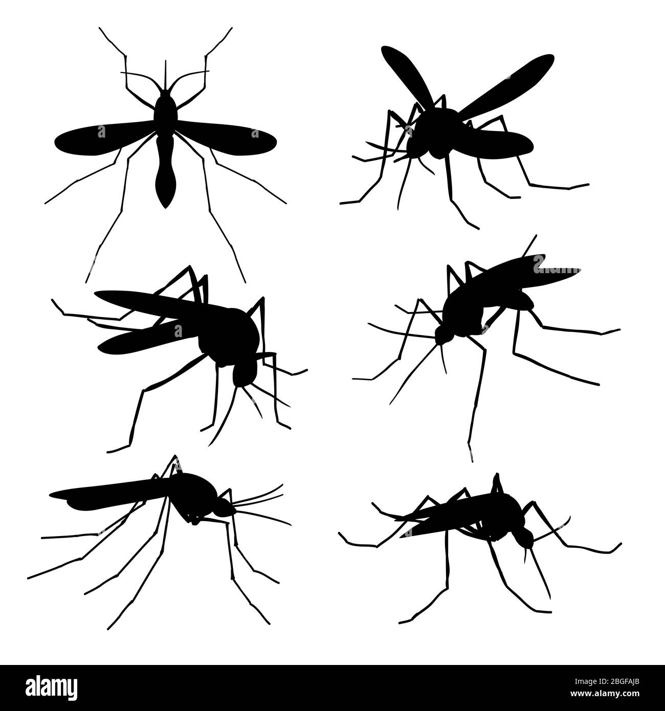 Silhouette di zanzara primo piano isolato. Set di vettori di zanzare macro volanti. Illustrazione di zanzara di insetto, spara sangue di parassita Illustrazione Vettoriale