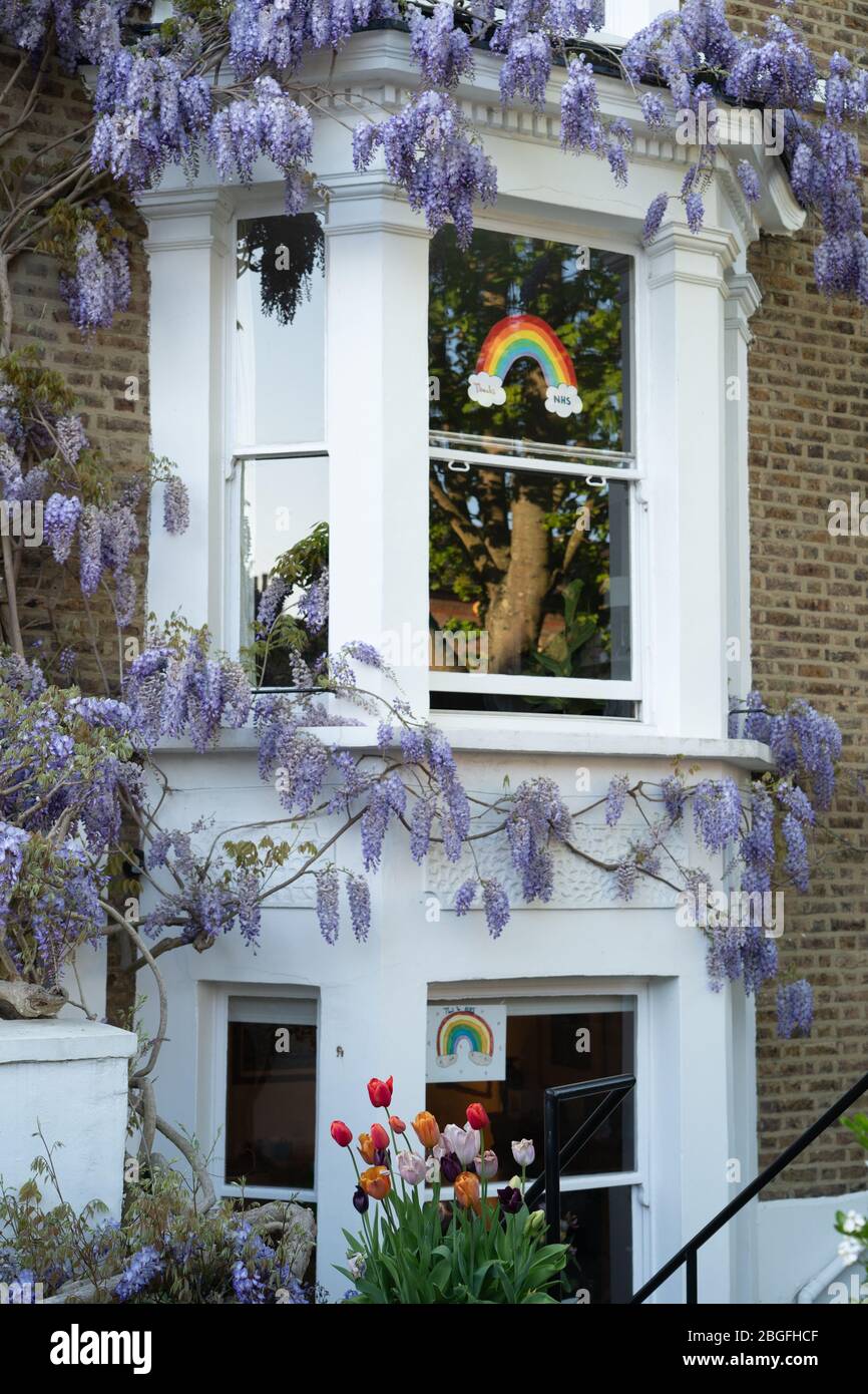 Dipinti arcobaleno che mostrano sostegno e grazie per il NHS nelle finestre delle case a Ealing, Londra. Data foto: Domenica 19 aprile 2020. Foto: Roger G. Foto Stock