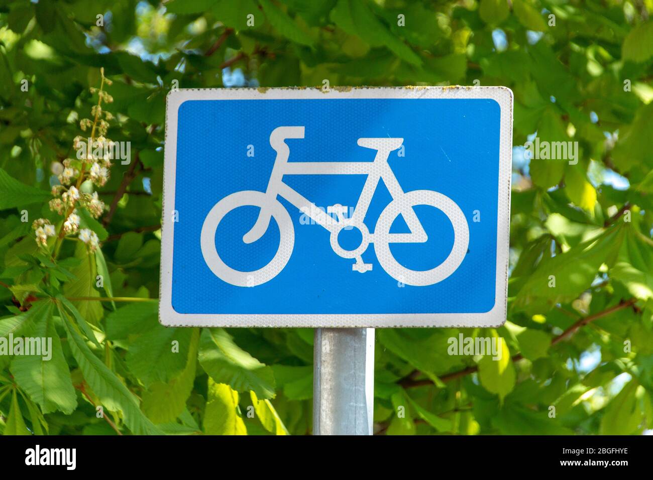 Una vista ravvicinata di un cartello per l'area di attraversamento delle biciclette per avvisare i conducenti di attraversare l'area Foto Stock