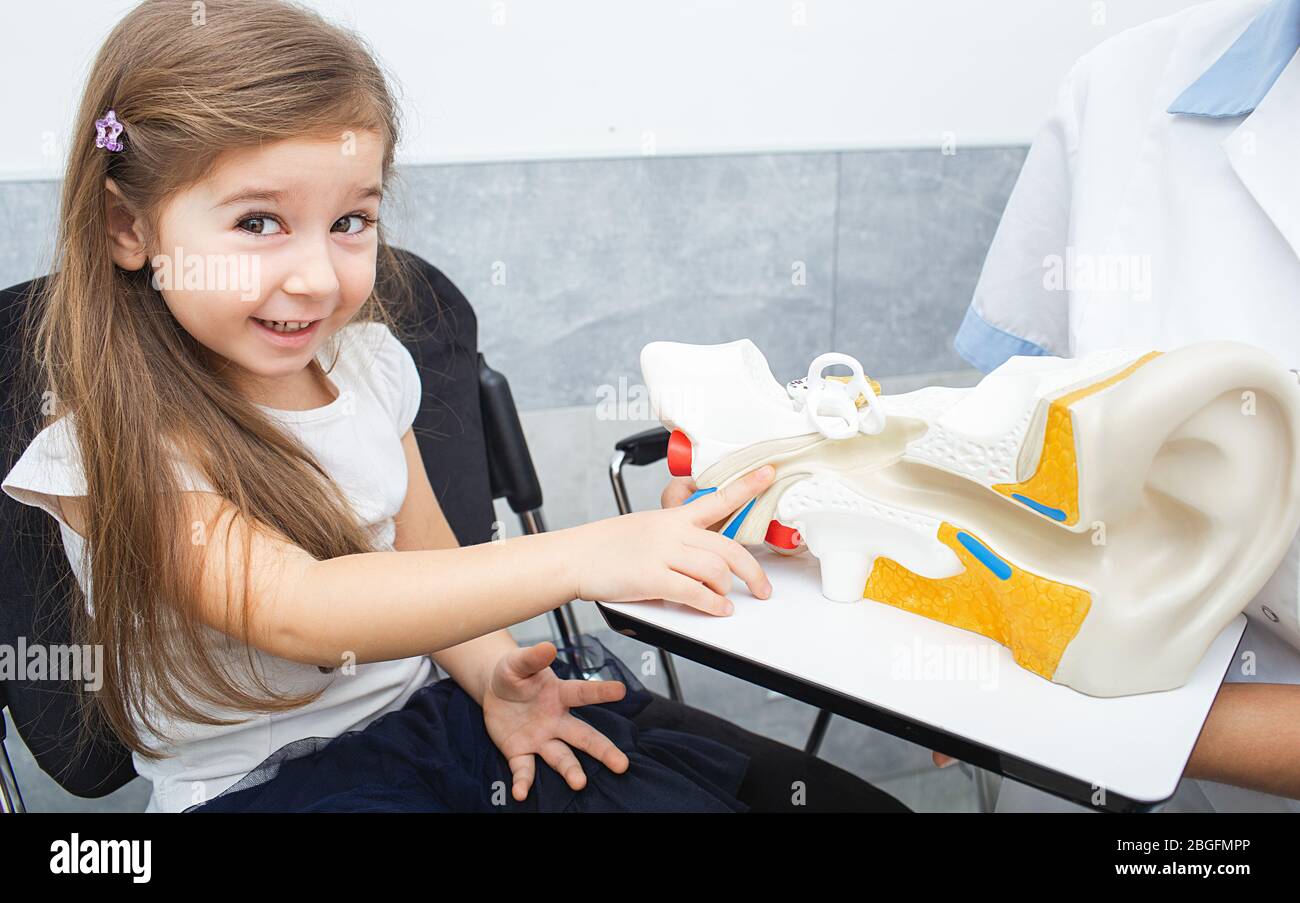 Bambina studia la struttura del sistema uditivo umano nell'ufficio dell'audiologo. Clinica uditiva Foto Stock