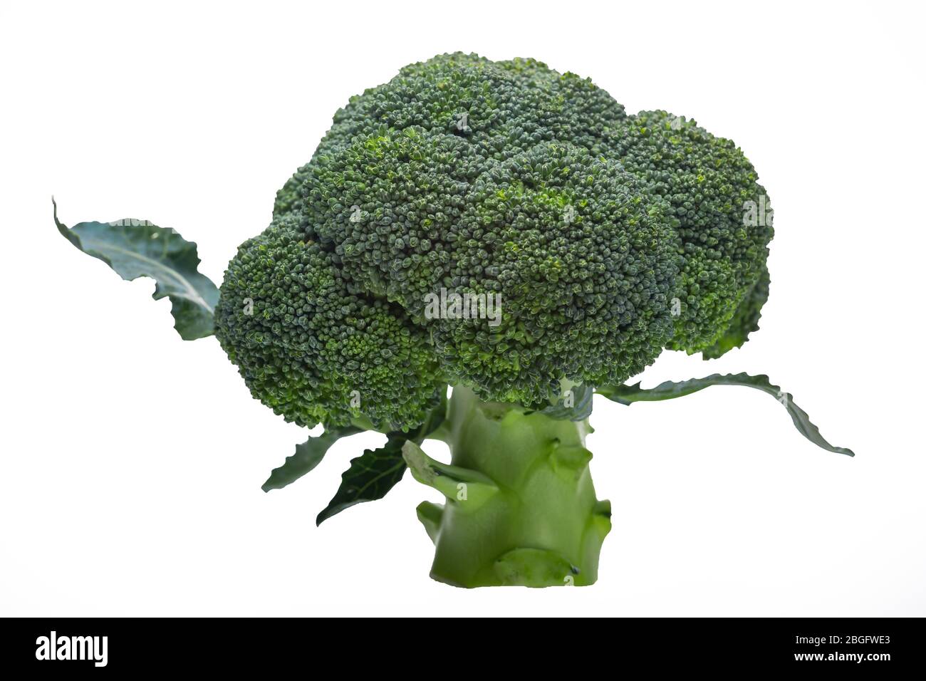 cavolfiore, vegetale, verde, fritto, in crescita, congelato, fresco, kale, keto, germogli, insalata, famiglia, coltivazione, giardino Foto Stock
