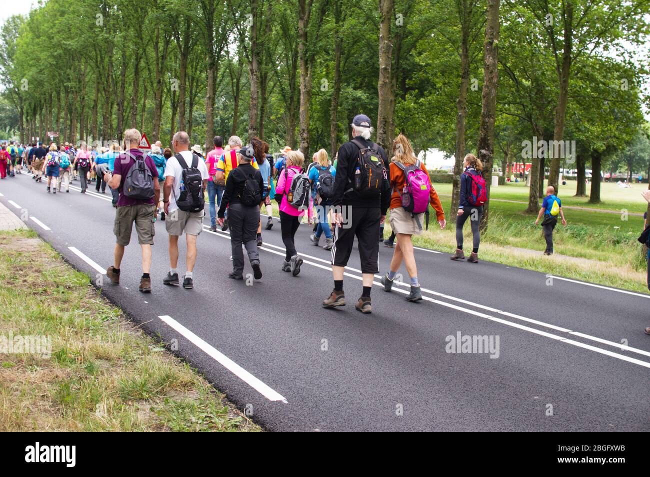 Arnhem, Paesi Bassi - 16,2019 luglio: Camminatori vicino Arnhem durante le quattro giornate internazionali Marches Nijmegen Foto Stock