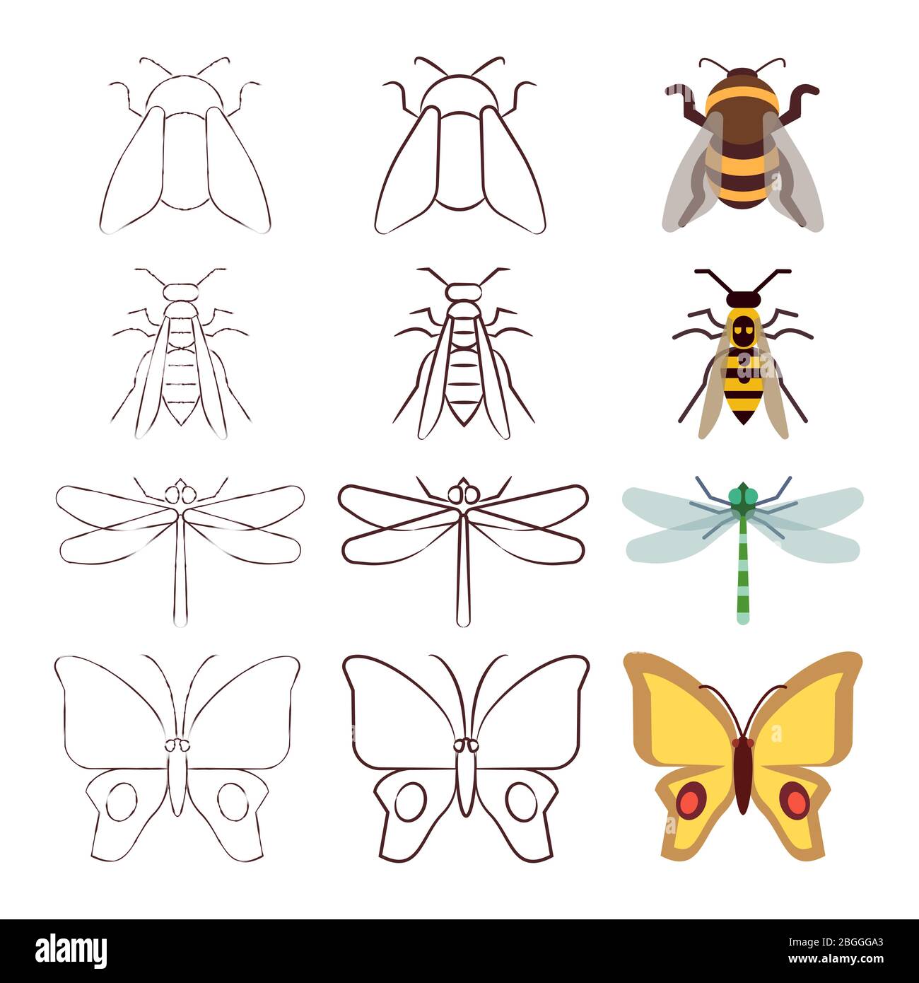 Disegno a matita, linea e raccolta di insetti piani. Illustrazione vettoriale Illustrazione Vettoriale