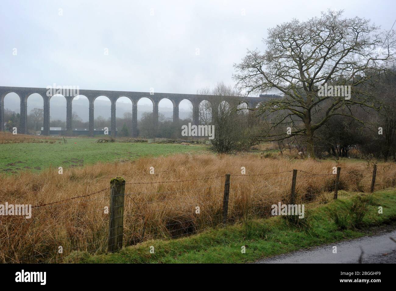 44871 conduce 45407 'The Lancashire Fusilier' attraverso Cynghordy Viadotto con la tratta Cardiff - Preston della 'Gran Bretagna VI' railtour. Foto Stock